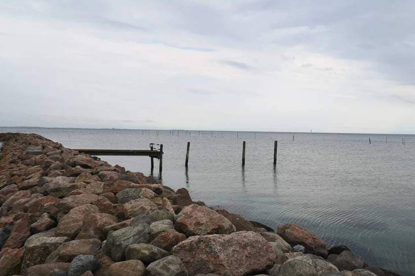 Foto von Ferienhaus OX46 in Spodsbjerg - Langeland