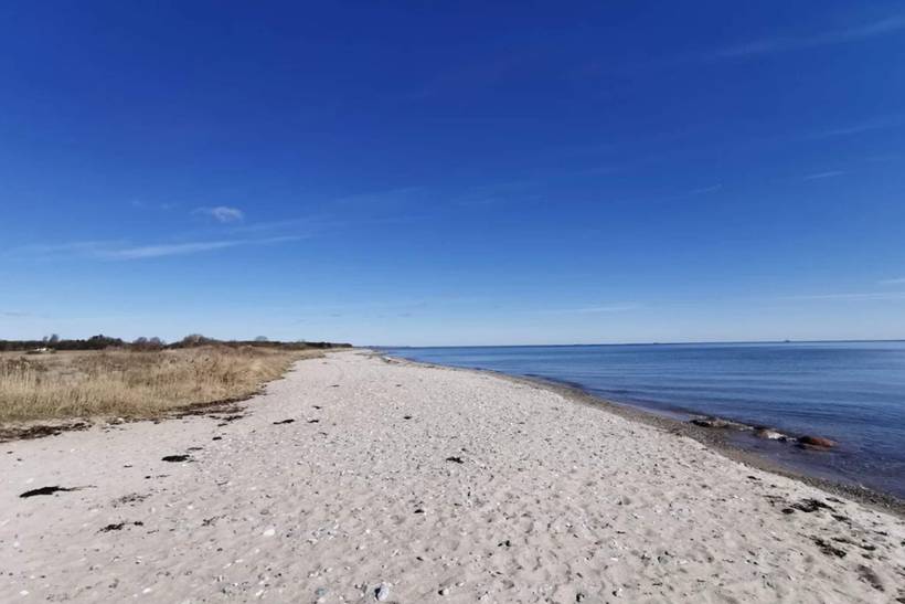 Foto von Ferienhaus OX46 in Spodsbjerg - Langeland
