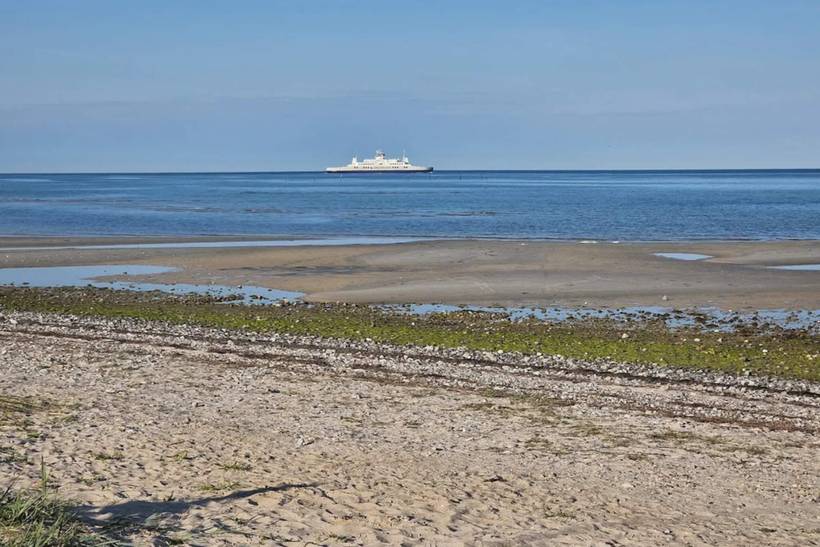 Foto von Ferienhaus OX46 in Spodsbjerg - Langeland