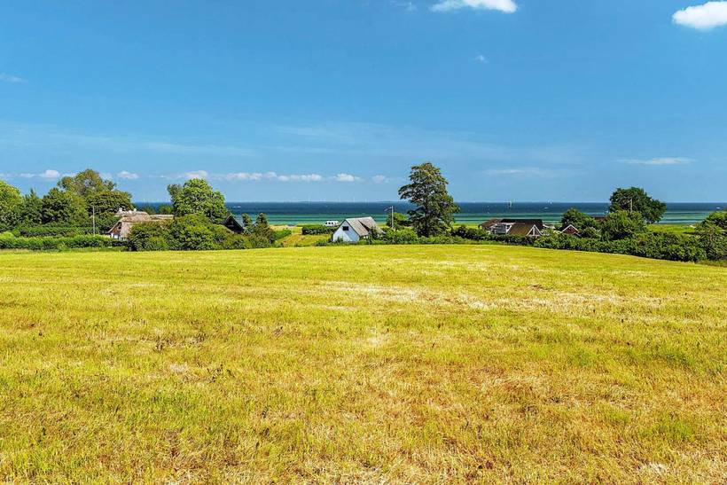 Foto von Ferienhaus OX46 in Spodsbjerg - Langeland