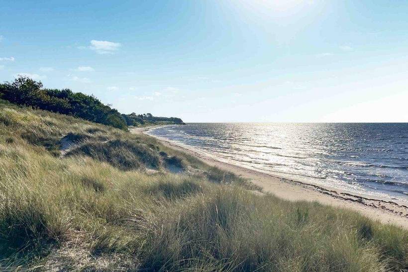 Foto von Ferienhaus OX70 in Sømarken - Bornholm