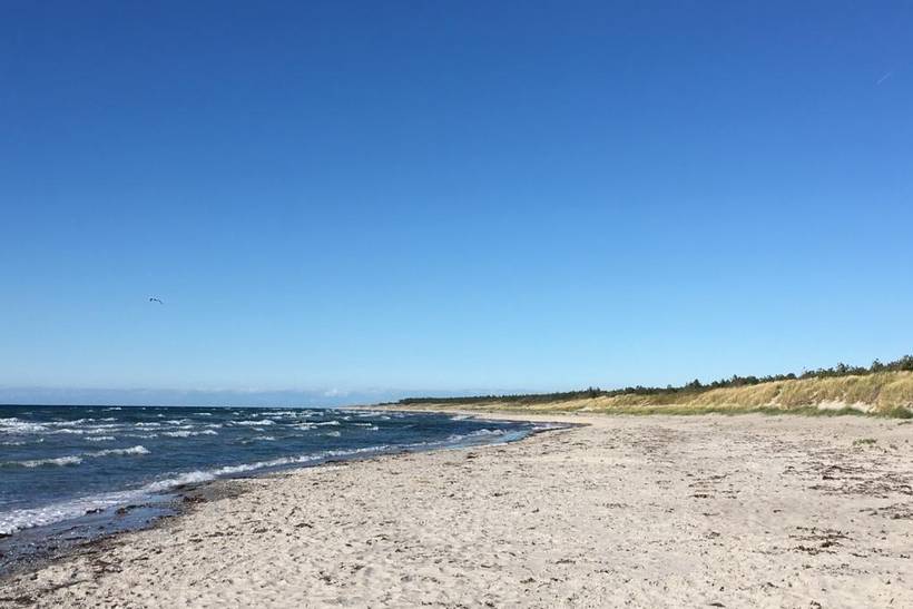 Foto von Ferienhaus OY74 in Strandsiden - Rørvig - Westseeland