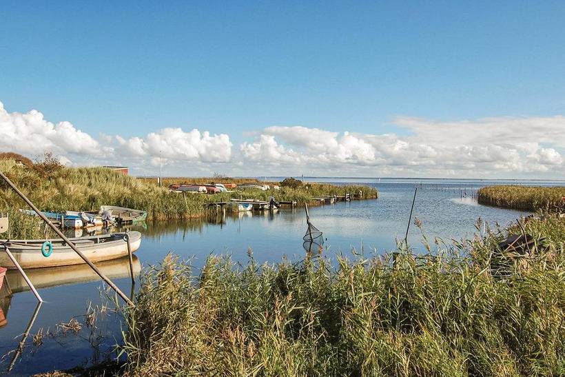 Foto von Ferienhaus PA44 in Haurvig - Årgab - Westjütland