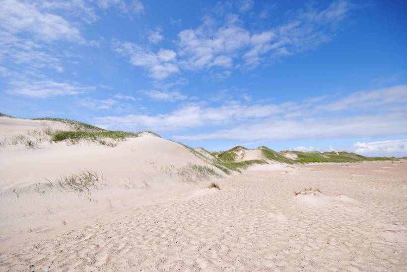 Foto von Ferienhaus PA94 in Houvig - Søndervig - Westjütland