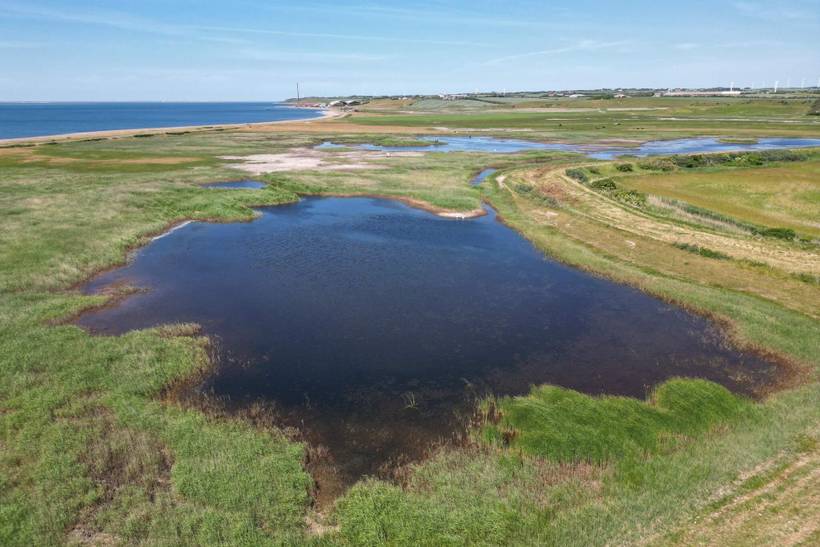Foto von Ferienhaus PC23 in Helligsø - Thy/Limfjord