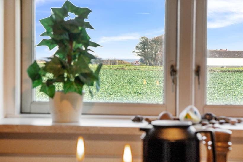 Foto von Ferienhaus PC55 auf Østerskov - Langeland