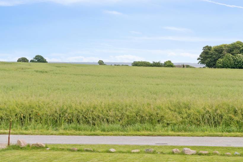 Foto von Ferienhaus PC55 auf Østerskov - Langeland