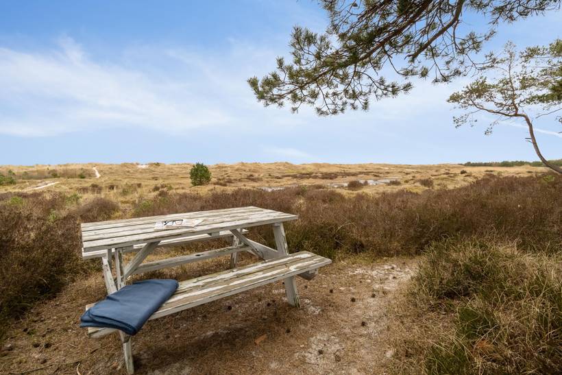 Foto von Ferienhaus PD31 in Dueodde - Bornholm