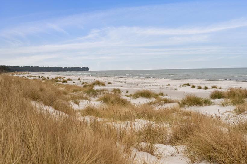 Foto von Ferienhaus PD31 in Dueodde - Bornholm