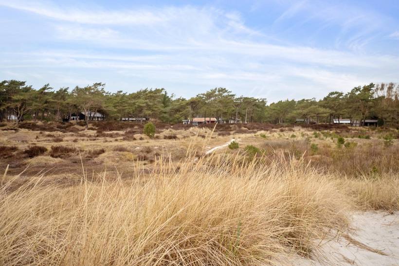 Foto von Ferienhaus PD31 in Dueodde - Bornholm