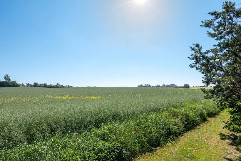 Foto von Ferienhaus PD43 in Udsholt - Rågeleje - Nordseeland