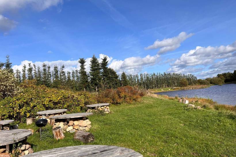 Foto von Ferienhaus PD49 in Virksund - Thy/Limfjord