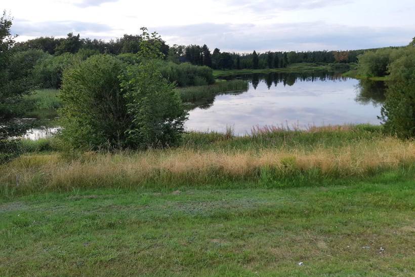 Foto von Ferienhaus PD49 in Virksund - Thy/Limfjord