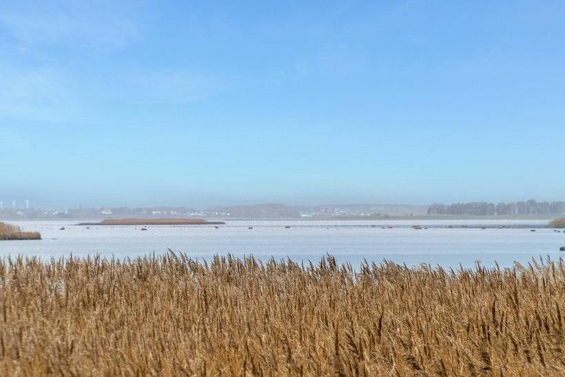 Foto von Ferienhaus PD69 auf Karrebæksminde - Enø - Südseeland