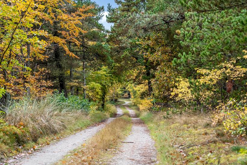 Foto von Ferienhaus PD89 in Blokhus - Nordjütland