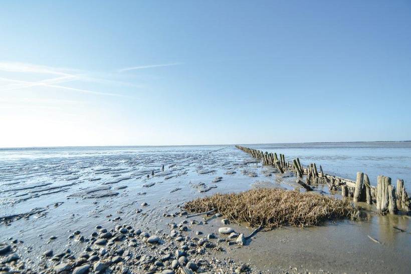 Foto von Ferienhaus PE23 in Kongsmark - Rømø