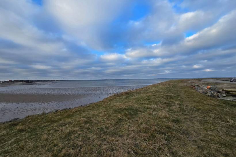 Foto von Ferienhaus PF49 in Trend - Thy/Limfjord