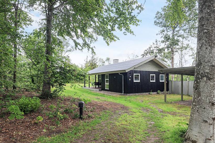 Foto von Ferienhaus PF49 in Trend - Thy/Limfjord