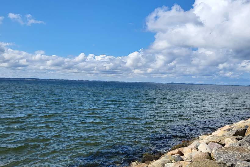Foto von Ferienhaus PF49 in Trend - Thy/Limfjord