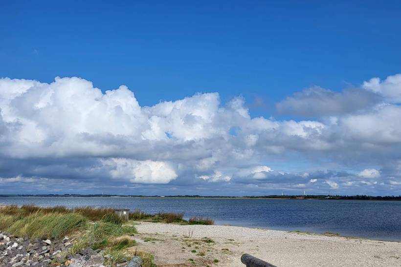 Foto von Ferienhaus PF49 in Trend - Thy/Limfjord