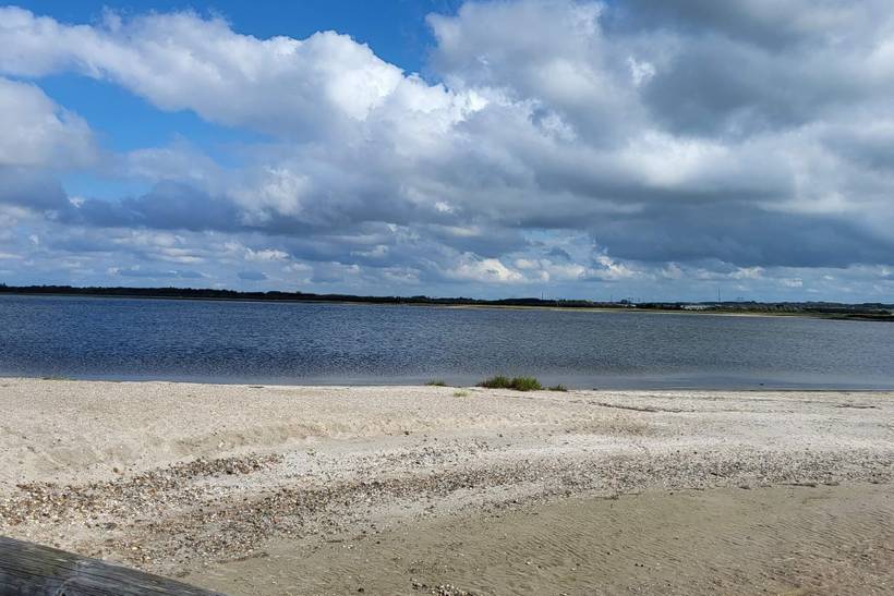 Foto von Ferienhaus PF49 in Trend - Thy/Limfjord