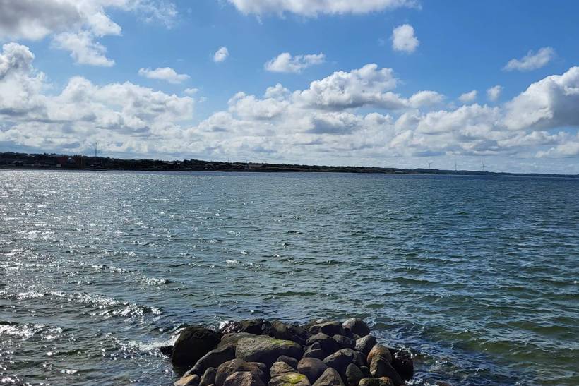 Foto von Ferienhaus PF49 in Trend - Thy/Limfjord