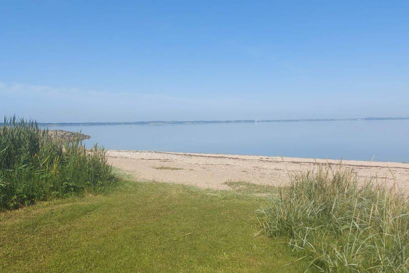 Foto von Ferienhaus PF49 in Trend - Thy/Limfjord