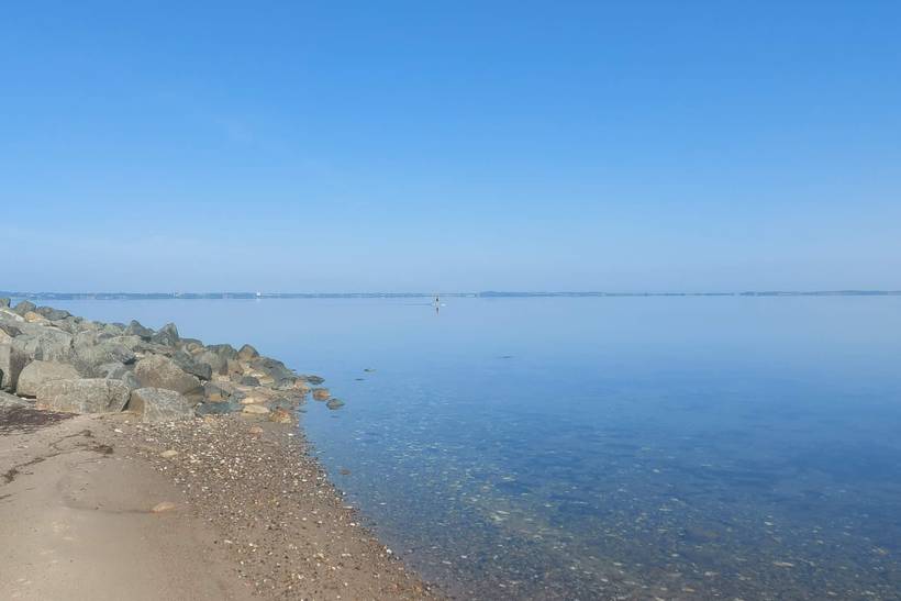 Foto von Ferienhaus PF49 in Trend - Thy/Limfjord
