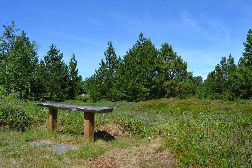 Foto von Ferienhaus PF64 in Sønderstrand - Rømø