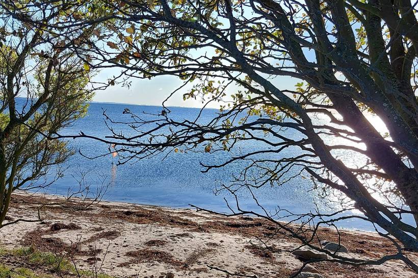 Foto von Ferienhaus PG73 in Grønninghoved - Südjütland