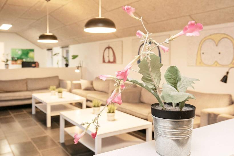 Foto von Ferienhaus PH01 in Tranum - Slettestrand - Nordjütland