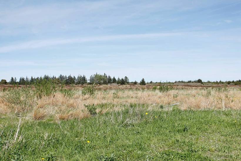 Foto von Ferienhaus PH01 in Tranum - Slettestrand - Nordjütland