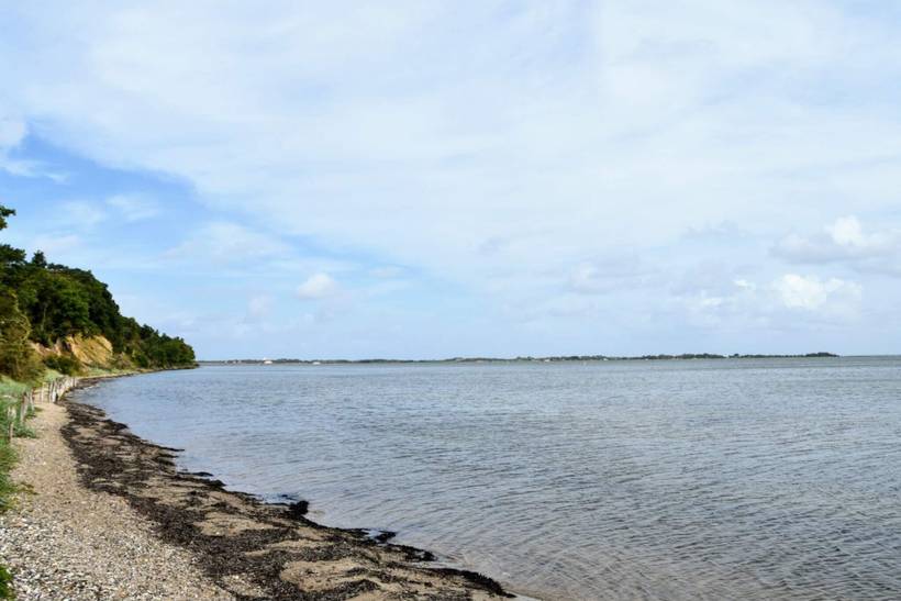 Foto von Ferienhaus PI04 in Jegindø - Thy/Limfjord