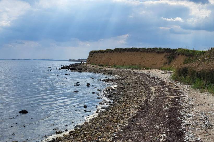Foto von Ferienhaus PI04 in Jegindø - Thy/Limfjord