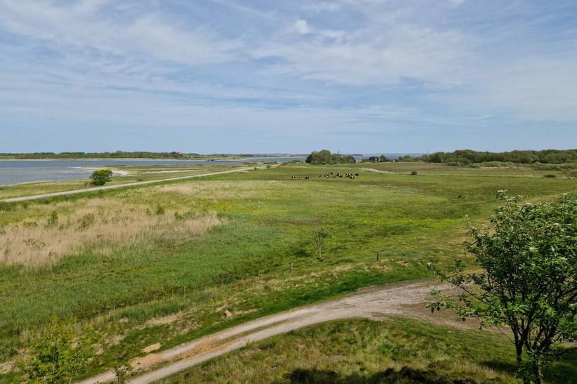 Foto von Ferienhaus PI04 in Jegindø - Thy/Limfjord