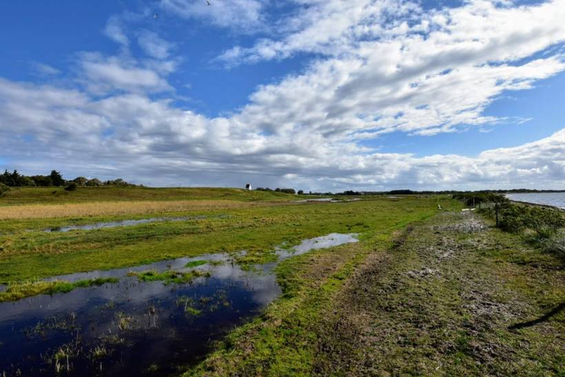 Foto von Ferienhaus PI04 in Jegindø - Thy/Limfjord