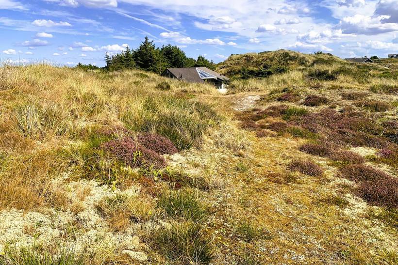 Foto von Ferienhaus PI43 in Skodbjerge - Bjerregård - Westjütland