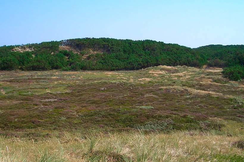Foto von Ferienhaus PI78 in Klitmøller - Thy/Limfjord