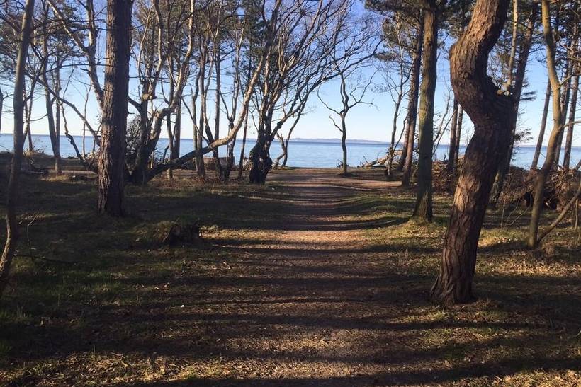 Foto von Ferienhaus PI80 in Hornbæk - Nordseeland