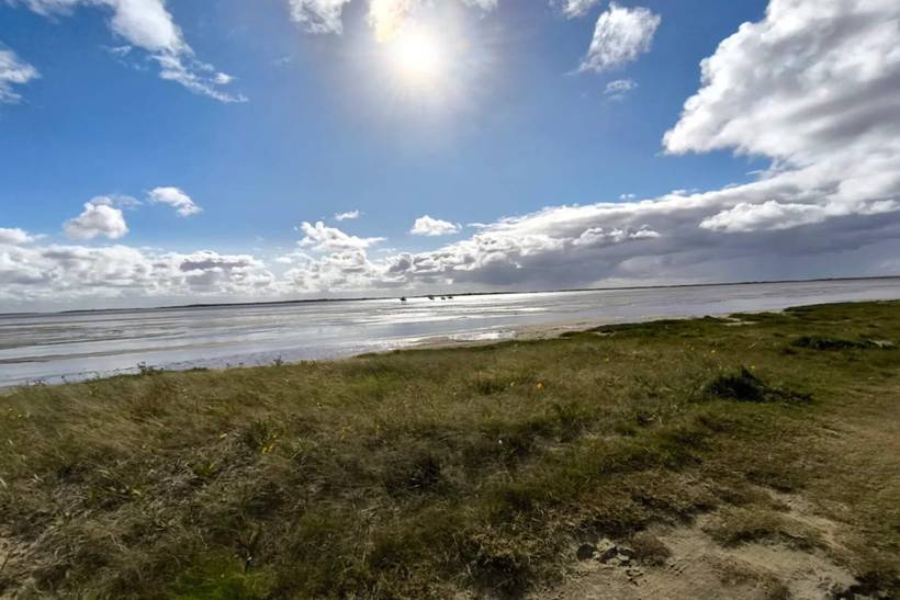 Foto von Ferienhaus PJ02 in Havneby - Rømø
