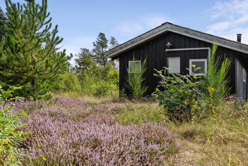 Foto von Ferienhaus PJ11 in Thorup - Nordjütland