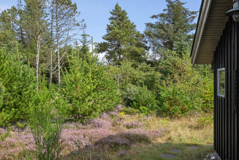 Foto von Ferienhaus PJ11 in Thorup - Nordjütland