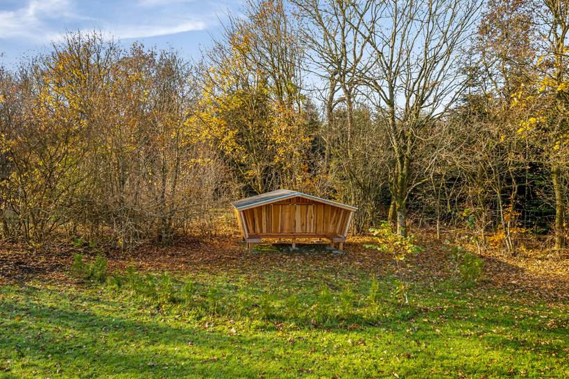 Foto von Ferienhaus PJ63 in Hovborg - Westjütland