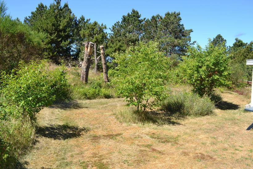 Foto von Ferienhaus PJ68 in Havneby - Rømø
