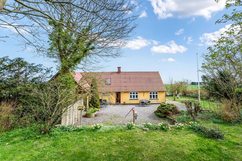 Foto von Ferienhaus PK23 auf Råbylille - Møn
