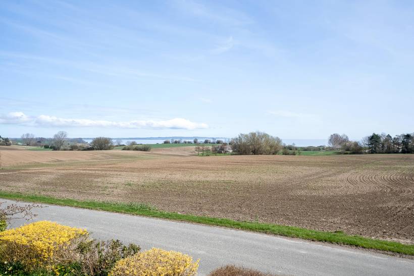 Foto von Ferienhaus PK23 auf Råbylille - Møn