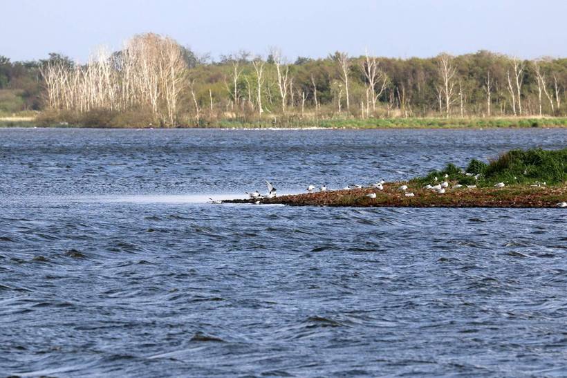 Foto von Ferienhaus PK91 in Henne Strand - Westjütland