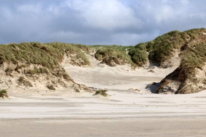 Foto von Ferienhaus PK91 in Henne Strand - Westjütland