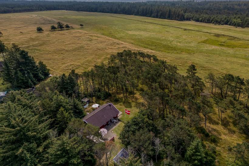 Foto von Ferienhaus PL01 in Vejers Strand - Westjütland