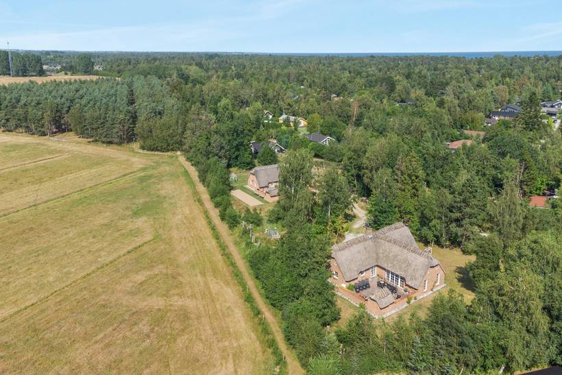 Foto von Ferienhaus PL23 in Marielyst - Falster